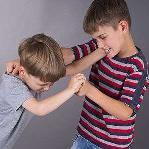 Aggression in Children