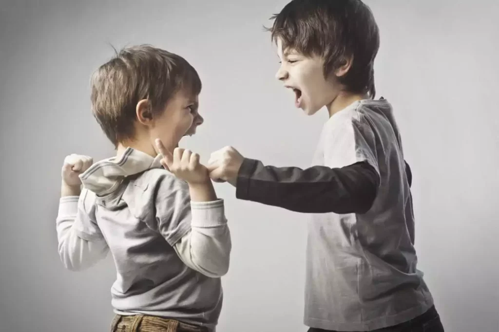 Aggression in Children