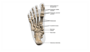 Stress Fracture Warning Signs and symptoms